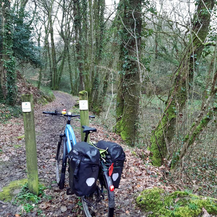 A electric bike propped atthe entrance to a small wood. A footpath leads off into the distance.